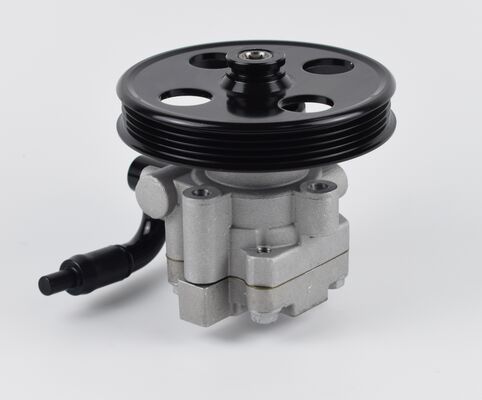 Power Steering Pump van China Auto Chassis System Parts High Precision 1102DAA03701N 60bar twee buizen