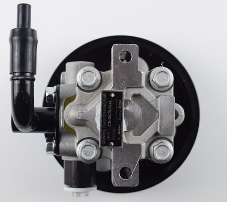 Power Steering Pump van China Auto Chassis System Parts High Precision 1102DAA03701N 60bar twee buizen